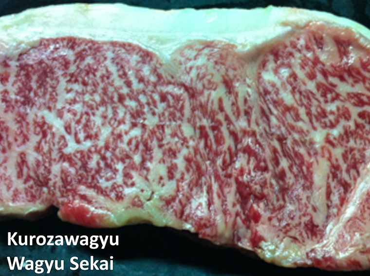 Wagyu beef Kurozawagyu brand from Wagyu Sekai